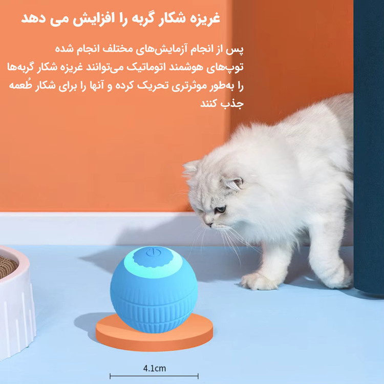 اسباب بازی حرکتی گربه