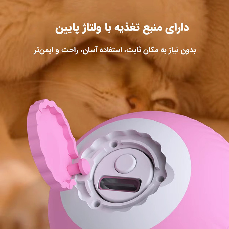 اسباب بازی حرکتی گربه